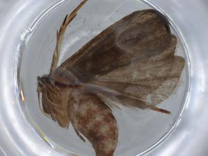  ( - BIOUG67618-A01)  @11 [ ] CreativeCommons - Attribution (2021) Centre for Biodiversity Genomics Centre for Biodiversity Genomics