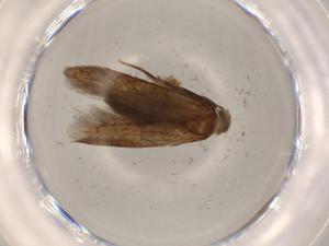  ( - BIOUG67646-B07)  @11 [ ] CreativeCommons - Attribution (2021) Centre for Biodiversity Genomics Centre for Biodiversity Genomics