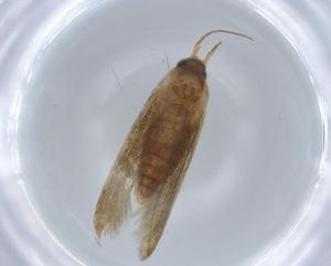  ( - BIOUG67908-D12)  @11 [ ] CreativeCommons - Attribution (2021) Centre for Biodiversity Genomics Centre for Biodiversity Genomics