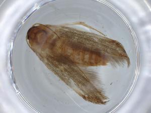  ( - BIOUG67992-A12)  @11 [ ] CreativeCommons - Attribution (2021) Centre for Biodiversity Genomics Centre for Biodiversity Genomics