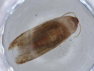  ( - BIOUG67992-B08)  @11 [ ] CreativeCommons - Attribution (2021) Centre for Biodiversity Genomics Centre for Biodiversity Genomics