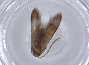  ( - BIOUG59880-F01)  @11 [ ] CreativeCommons - Attribution (2021) Centre for Biodiversity Genomics Centre for Biodiversity Genomics