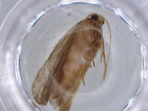  ( - BIOUG59880-F03)  @11 [ ] CreativeCommons - Attribution (2021) Centre for Biodiversity Genomics Centre for Biodiversity Genomics