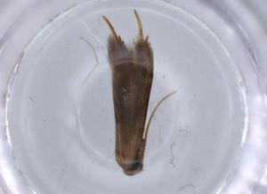  ( - BIOUG59880-G01)  @11 [ ] CreativeCommons - Attribution (2021) Centre for Biodiversity Genomics Centre for Biodiversity Genomics