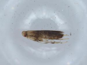  ( - BIOUG65273-D06)  @11 [ ] CreativeCommons - Attribution (2021) Centre for Biodiversity Genomics Centre for Biodiversity Genomics