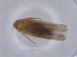  ( - BIOUG65799-B05)  @11 [ ] CreativeCommons - Attribution (2021) Centre for Biodiversity Genomics Centre for Biodiversity Genomics