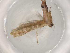  ( - BIOUG75072-A02)  @11 [ ] CreativeCommons - Attribution (2021) Centre for Biodiversity Genomics Centre for Biodiversity Genomics