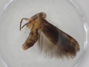  ( - BIOUG75245-B02)  @11 [ ] CreativeCommons - Attribution (2021) Centre for Biodiversity Genomics Centre for Biodiversity Genomics