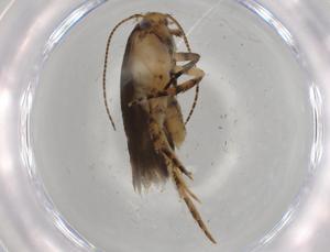  ( - BIOUG75277-C02)  @11 [ ] CreativeCommons - Attribution (2021) Centre for Biodiversity Genomics Centre for Biodiversity Genomics