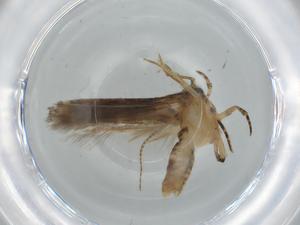  ( - BIOUG75506-E01)  @11 [ ] CreativeCommons - Attribution (2021) Centre for Biodiversity Genomics Centre for Biodiversity Genomics