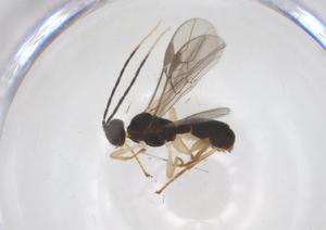  ( - CBG-A51554-E02)  @11 [ ] CreativeCommons - Attribution Share - Alike (2024) Centre for Biodiversity Genomics Centre for Biodiversity Genomics