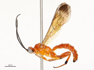  ( - CBG-A51902-E04)  @11 [ ] CreativeCommons - Attribution Share - Alike (2024) CBG Photography Group Centre for Biodiversity Genomics