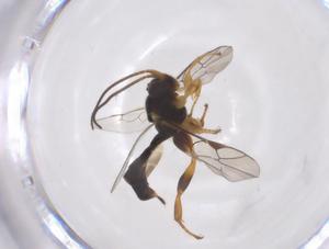  ( - CBG-A53422-G05)  @11 [ ] CreativeCommons - Attribution Share - Alike (2024) Centre for Biodiversity Genomics Centre for Biodiversity Genomics