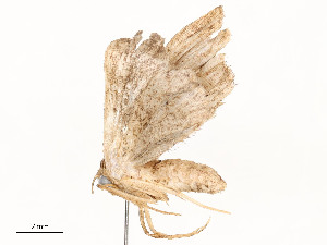  ( - CBG-A53648-B03)  @11 [ ] CreativeCommons - Attribution Share - Alike (2024) CBG Photography Group Centre for Biodiversity Genomics