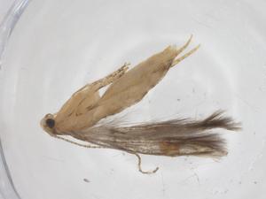  ( - CBG-A55363-D09)  @11 [ ] CreativeCommons - Attribution Share - Alike (2024) Centre for Biodiversity Genomics Centre for Biodiversity Genomics