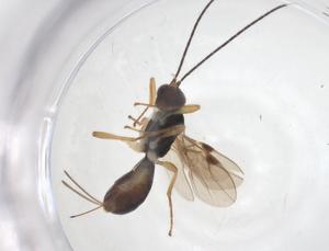  ( - CBG-A59617-B01)  @11 [ ] CreativeCommons - Attribution Share - Alike (2024) Centre for Biodiversity Genomics Centre for Biodiversity Genomics