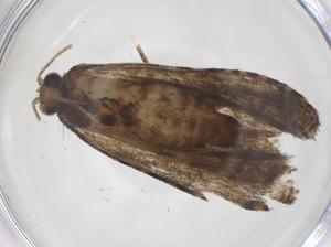  ( - CBG-A63659-H02)  @11 [ ] CreativeCommons - Attribution Share - Alike (2025) Centre for Biodiversity Genomics Centre for Biodiversity Genomics