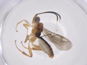  ( - CBG-A63983-E07)  @11 [ ] CreativeCommons - Attribution Share - Alike (2025) Centre for Biodiversity Genomics Centre for Biodiversity Genomics