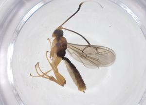  ( - CBG-A64031-G04)  @11 [ ] CreativeCommons - Attribution Share - Alike (2025) Centre for Biodiversity Genomics Centre for Biodiversity Genomics