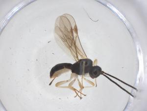  ( - CBG-B10892-F08)  @11 [ ] CreativeCommons - Attribution Share - Alike (2025) Centre for Biodiversity Genomics Centre for Biodiversity Genomics