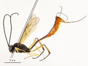  ( - CBG-B17302-F04)  @11 [ ] CreativeCommons - Attribution Share - Alike (2025) CBG Photography Group Centre for Biodiversity Genomics