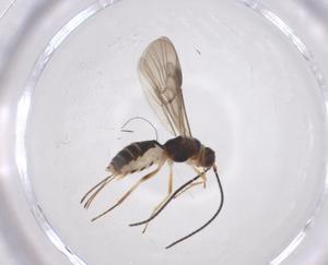  ( - CBG-A59934-F03)  @11 [ ] CreativeCommons - Attribution Share - Alike (2025) Centre for Biodiversity Genomics Centre for Biodiversity Genomics