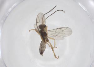  ( - CBG-A59953-D11)  @11 [ ] CreativeCommons - Attribution Share - Alike (2025) Centre for Biodiversity Genomics Centre for Biodiversity Genomics