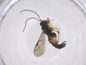  ( - CBG-A61359-E06)  @11 [ ] CreativeCommons - Attribution Share - Alike (2025) Centre for Biodiversity Genomics Centre for Biodiversity Genomics