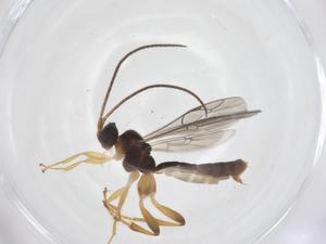  ( - CBG-A61361-E05)  @11 [ ] CreativeCommons - Attribution Share - Alike (2025) Centre for Biodiversity Genomics Centre for Biodiversity Genomics