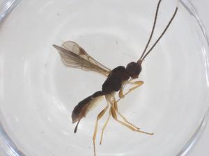  ( - CBG-A61419-E07)  @11 [ ] CreativeCommons - Attribution Share - Alike (2025) Centre for Biodiversity Genomics Centre for Biodiversity Genomics