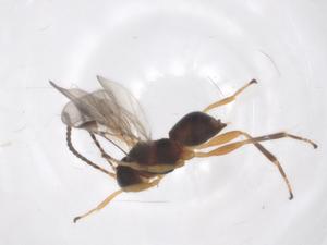  ( - CBG-A61439-H05)  @11 [ ] CreativeCommons - Attribution Share - Alike (2025) Centre for Biodiversity Genomics Centre for Biodiversity Genomics