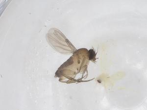  ( - CBG-A62428-E06)  @11 [ ] CreativeCommons - Attribution Share - Alike (2025) Centre for Biodiversity Genomics Centre for Biodiversity Genomics