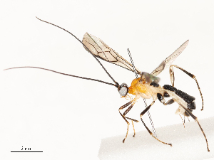  ( - CBG-A58709-E02)  @11 [ ] CreativeCommons - Attribution Share - Alike (2025) CBG Photography Group Centre for Biodiversity Genomics