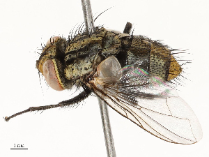  ( - CBG-A59498-H10)  @11 [ ] CreativeCommons - Attribution Share - Alike (2025) CBG Photography Group Centre for Biodiversity Genomics