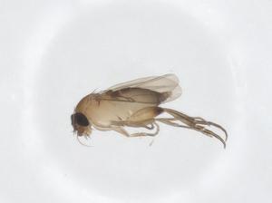  ( - CBG-A62122-B07)  @11 [ ] CreativeCommons - Attribution Share - Alike (2025) Centre for Biodiversity Genomics Centre for Biodiversity Genomics