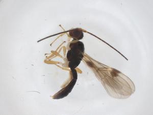  ( - CBG-A62306-F10)  @11 [ ] CreativeCommons - Attribution Share - Alike (2025) Centre for Biodiversity Genomics Centre for Biodiversity Genomics