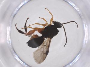  ( - CBG-A62390-C08)  @11 [ ] CreativeCommons - Attribution Share - Alike (2025) Centre for Biodiversity Genomics Centre for Biodiversity Genomics