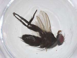  ( - CBG-A62685-E12)  @11 [ ] CreativeCommons - Attribution Share - Alike (2025) Centre for Biodiversity Genomics Centre for Biodiversity Genomics