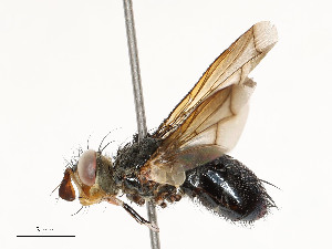  ( - CBG-A62869-B03)  @11 [ ] CreativeCommons - Attribution Share - Alike (2025) CBG Photography Group Centre for Biodiversity Genomics