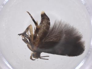  ( - CBG-A63600-F10)  @11 [ ] CreativeCommons - Attribution Share - Alike (2025) Centre for Biodiversity Genomics Centre for Biodiversity Genomics