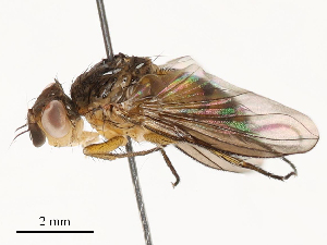  ( - CBG-A54467-F08)  @11 [ ] CreativeCommons - Attribution Share - Alike (2024) CBG Photography Group Centre for Biodiversity Genomics