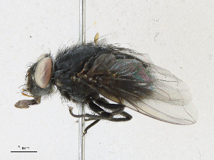  ( - CBG-A16706-E10)  @11 [ ] CreativeCommons - Attribution Share - Alike (2023) CBG Photography Group Centre for Biodiversity Genomics