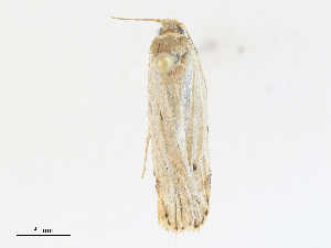  ( - CBG-A30057-F01)  @11 [ ] CreativeCommons - Attribution Share - Alike (2024) CBG Photography Group Centre for Biodiversity Genomics