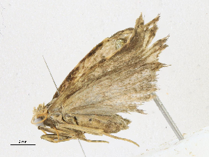  ( - CBG-A13358-E07)  @11 [ ] CreativeCommons - Attribution Share-Alike (2023) CBG Photography Group Centre for Biodiversity Genomics