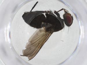  ( - CBG-A14249-G09)  @11 [ ] CreativeCommons - Attribution Share - Alike (2023) Centre for Biodiversity Genomics Centre for Biodiversity Genomics