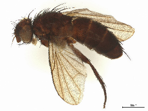  ( - CBG-A09653-D04)  @11 [ ] CreativeCommons - Attribution Share - Alike (2025) CBG Photography Group Centre for Biodiversity Genomics