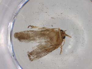  ( - BIOUG75398-G05)  @11 [ ] CreativeCommons - Attribution (2022) Centre for Biodiversity Genomics Centre for Biodiversity Genomics