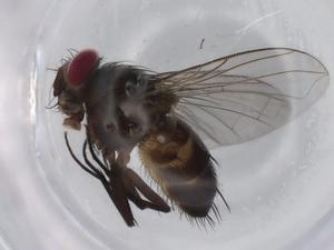  ( - BIOUG76618-B04)  @11 [ ] CreativeCommons - Attribution (2022) Centre for Biodiversity Genomics Centre for Biodiversity Genomics