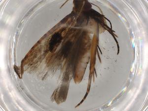  ( - BIOUG79341-D05)  @11 [ ] CreativeCommons - Attribution (2022) Centre for Biodiversity Genomics Centre for Biodiversity Genomics