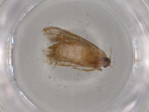  ( - BIOUG80464-G05)  @11 [ ] CreativeCommons - Attribution (2022) Centre for Biodiversity Genomics Centre for Biodiversity Genomics